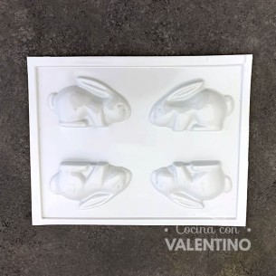 Placa Plastichok Conejos x 4 1786A