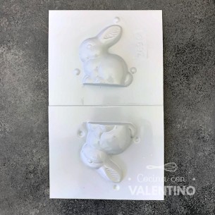 Placa Plastichok Conejo x2 369C