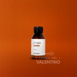Esencia Naarden Budin - 100 Ml
