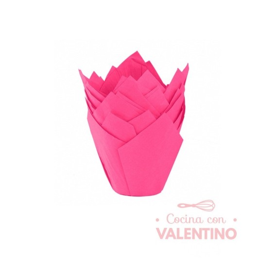 Tulipa Color Fucsia - Pack 50 Un.