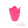 Tulipa Color Fucsia - Pack 50 Un.