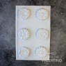 Placa Plastichok Flores x6 Margaritas y Peonias 1379