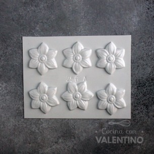 Placa  Plastichok Seis Flores 256A