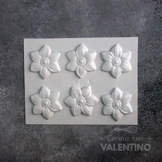 Placa  Plastichok Seis Flores 256A