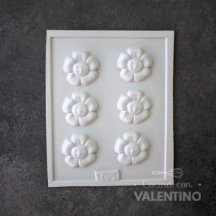 Placa Plastichok Flores x6 1593A