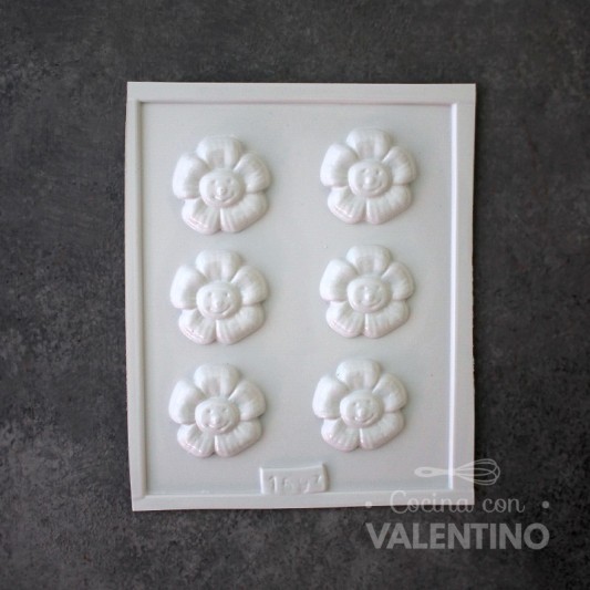 Placa Plastichok Flores x6 1593A