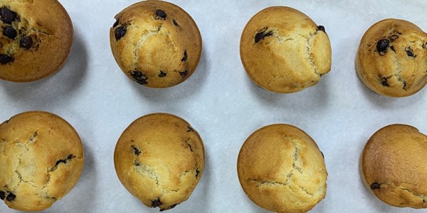 Muffins de chips de chocolate